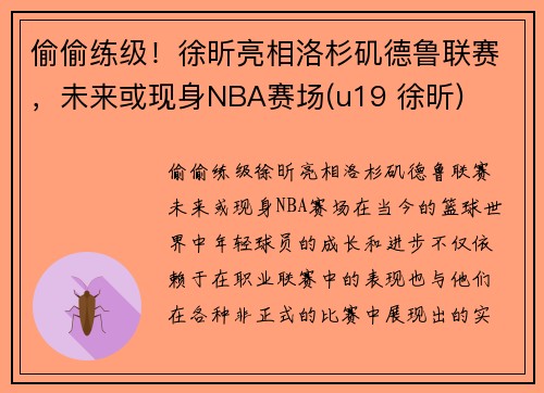 偷偷练级！徐昕亮相洛杉矶德鲁联赛，未来或现身NBA赛场(u19 徐昕)